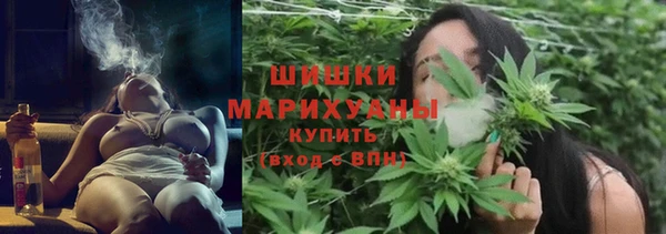 ECSTASY Покачи