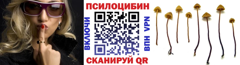 Галлюциногенные грибы прущие грибы  Нахабино 